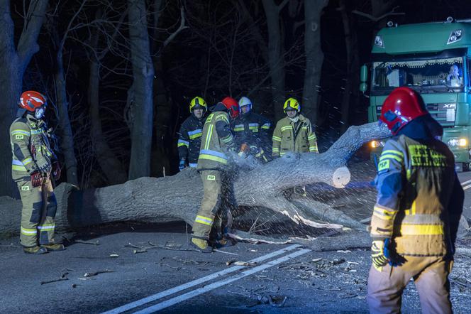 Pogoda warmińsko-mazurskie. Wichury wracają! Gdzie będzie wiało? Prognoza, 23.02.2022