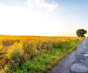 Strabag zbuduje północną obwodnicę Gorzowa