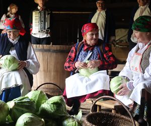 Tak ongiś siekano kapustę w woj. lubelskim. „Obieraczki kapuściane” w Muzeum Wsi Lubelskiej