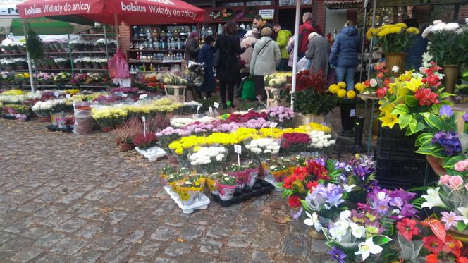 Takie kwiaty i znicze można kupić przy wrocławskich cmentarzach