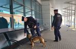 Policja