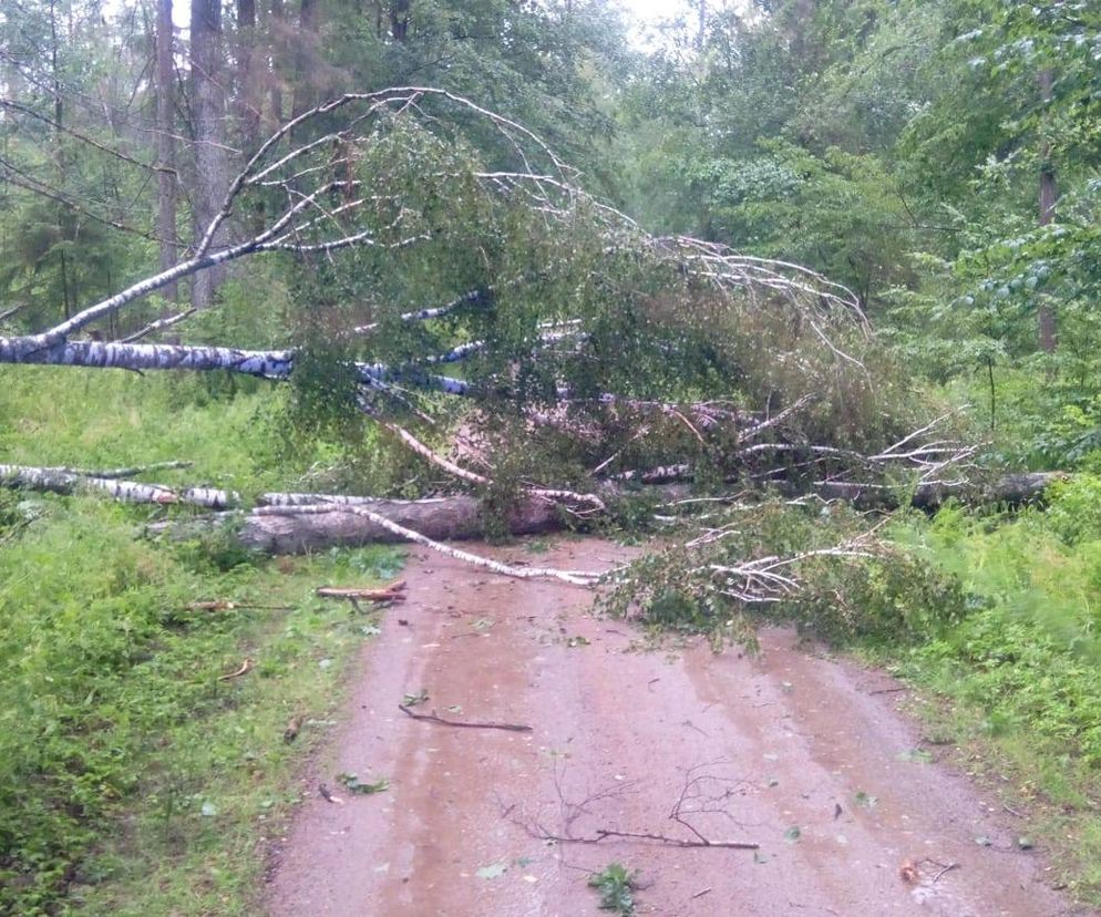 Woj. pomorskie. Ponad tysiąc interwencji strażaków w związku z silnymi ulewami!