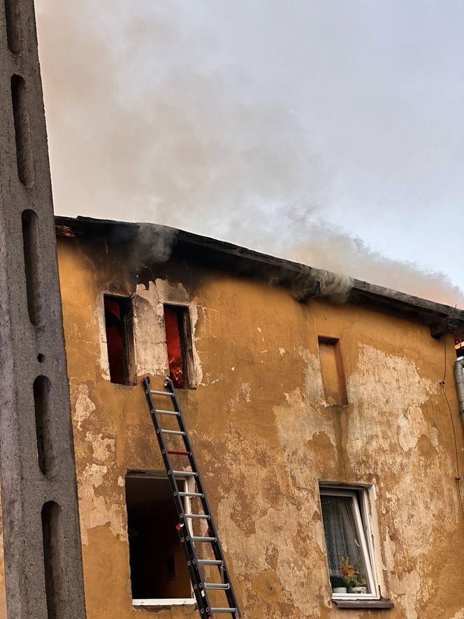 Dramatyczny pożar na Dolnym Śląsku. Mężczyzna ewakuowany przez okno, budynek doszczętnie zniszczony