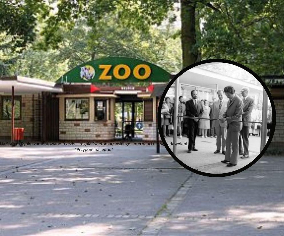 Zoo w Poznaniu ma 50 lat!