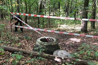 Poznań: Niebezpieczne odkrycie w środku lasu! Obyło się bez ofiar 