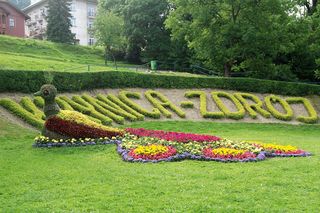 Najlepsze uzdrowiska w Małopolsce według AI. Warto je odwiedzić nie tylko w wakacje!