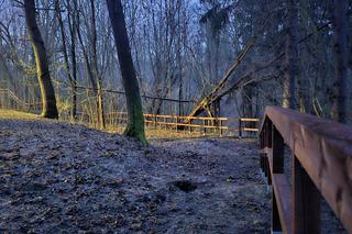 Ekotaras w Olsztynie już gotowy. Zobacz, jak się prezentuje [ZDJĘCIA]