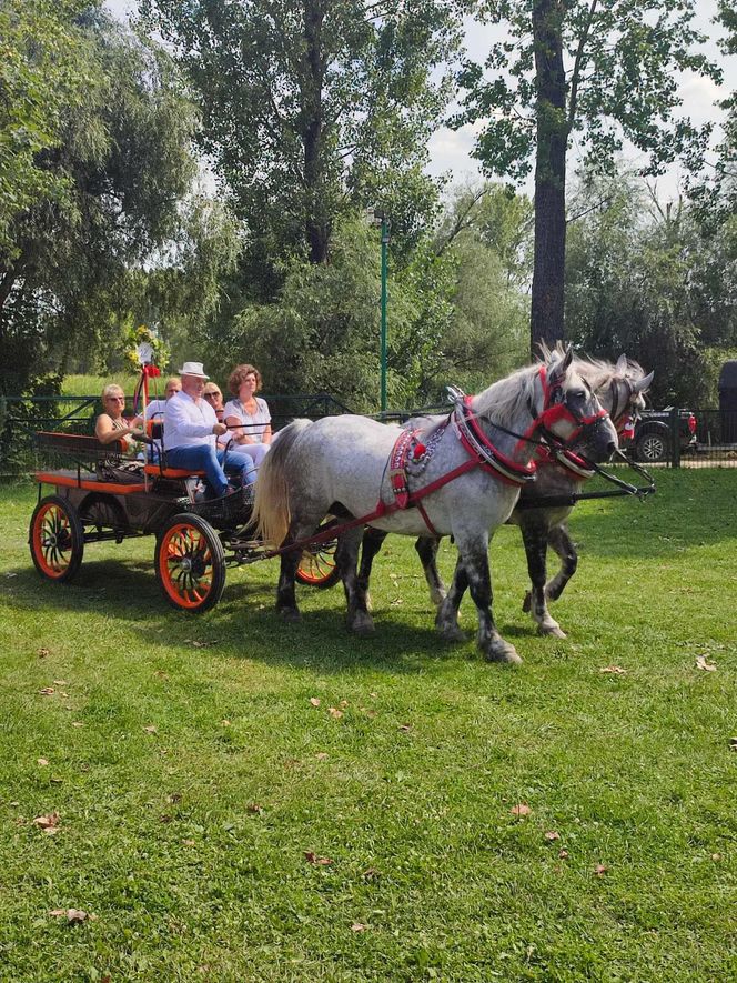 III Parada Karet w Krzyżanowicach Dolnych