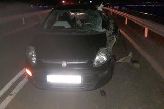 Poważny wypadek w gminie Inowrocław. Samochód dosłownie rozpruty przez ciągnik. Zdjęcia z miejsca zdarzenia