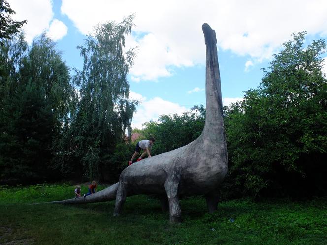 Dolina Dinozaurów na Podzamczu w Łęcznej. Przerażone konie stawały dęba