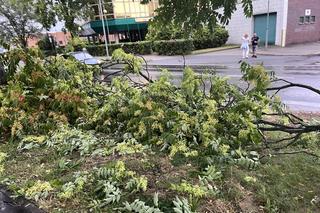 Przerwany stand-up Michała Koterskiego na Wartowni w Gorzowie Wielkopolskim