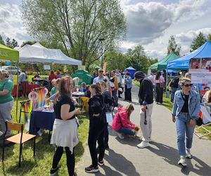 Festiwal Przyjaciół Zwierząt w Olsztynie. Park Centralny opanowały radosne pieski