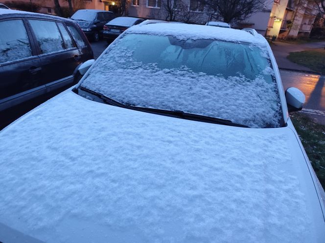 Pierwszy śnieg spadł w Poznaniu i okolicach