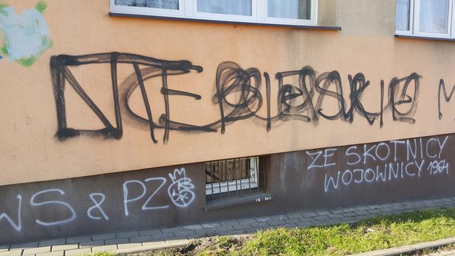 Czyszczenie Mysłowic z nielegalnego graffiti i wulgarnych napisów 