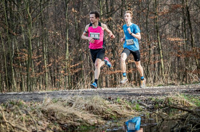 Nowy sezon biegów przełajowych CITY TRAIL w Katowicach