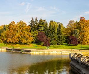 Park Śląski jesienią jest naprawdę piękny