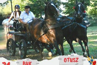 Dożynki w powiecie poznańskim 2025