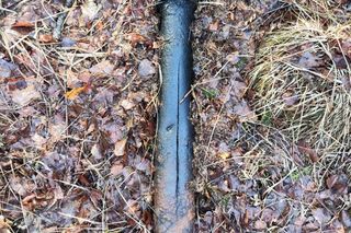 Kilkadziesiąt niewybuchów w iławskim lesie