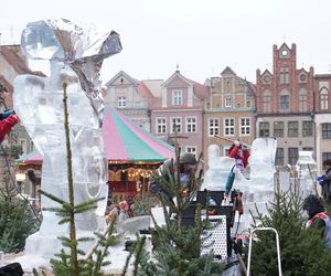 Poznań Ice Festival 2024 