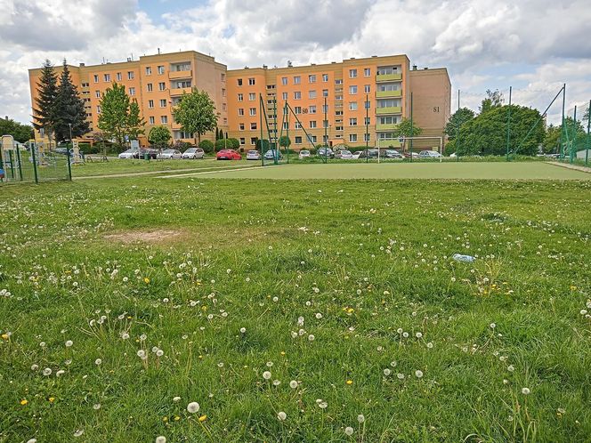 Pół boiska w Kielcach