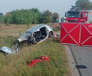 : Mama zginęła w wypadku, dziecko z urazem głowy trafiło do szpitala. Tragiczny finał brawurowej jazdy na trasie do Warszawy