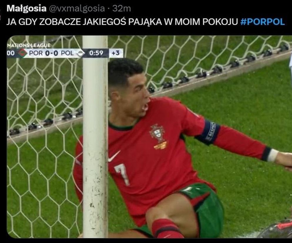 Portugalia - Polska MEMY
