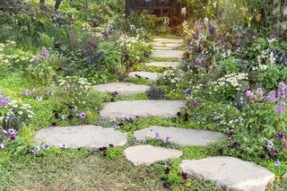 Ścieżka w ogrodzie