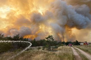 Potężny pożar lasów w Niemczech. Dym widać z okolic Lubina i Jawora na Dolnym Śląsku 