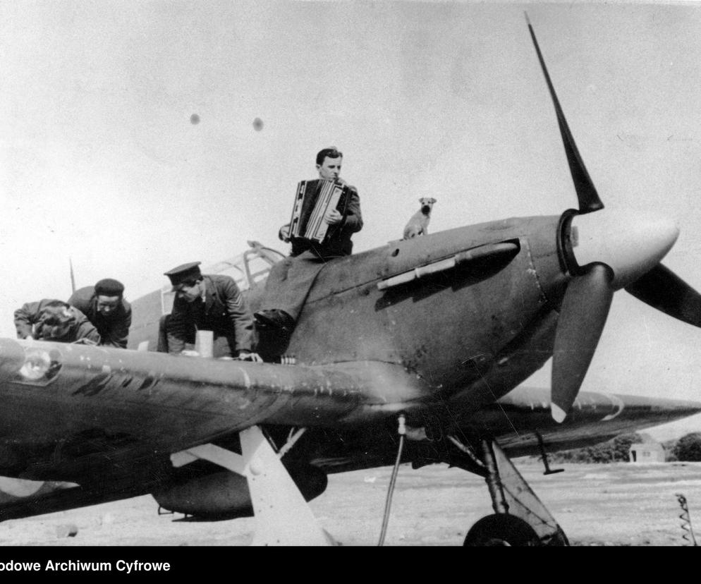 Mechanicy lotnictwa polskiego przygotowują do lotu samolot myśliwski Hawker Hurricane 