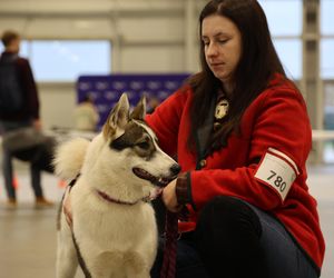 Międzynarodowa Wystawa Psów Rasowych 2024 w Lublinie