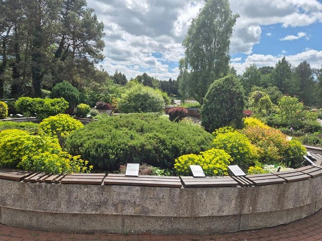 Arboretum w Bolestraszycach 