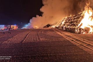 Pożary na polach pod Krotoszynem. Rolnicy wyznaczyli nagrodę