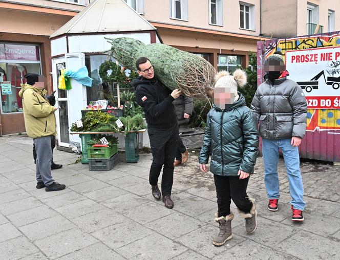 Morawiecki kupuje choinkę na święta