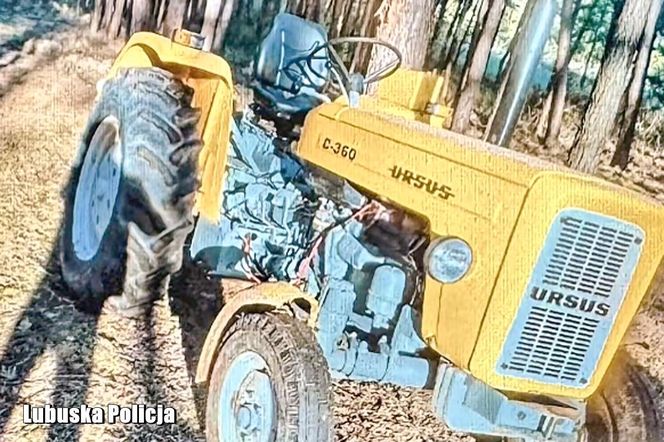 Policja rozbiła szajkę złodziei! Wśród łupów zabytkowe BMW