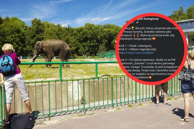 Ktoś podszywa się pod chorzowskie ZOO. Śląski Ogród Zoologiczny opublikował komunikat w tej sprawie 