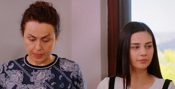 Miłość i nadzieja odc. 295. Cavidan, Bahar