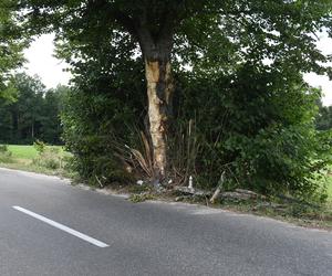 Pomorskie/ Dwa lata więzienia dla kierowcy za spowodowanie wypadku, w którym zginęły cztery osoby