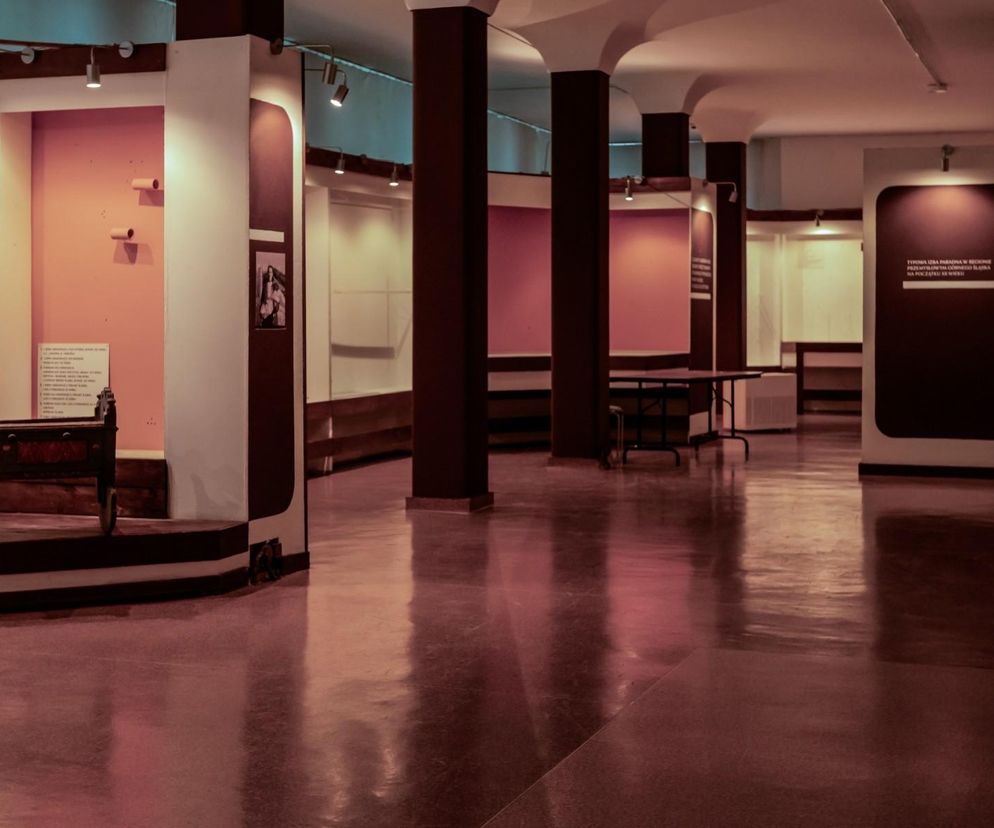 Muzeum Górnośląskie szykuje się do remontu za 23 mln zł