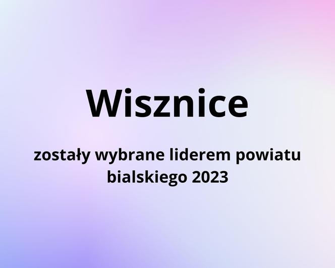 Zwycięzcy w kategorii „Liderzy powiatów” w Rankingu Gmin Lubelszczyzny 2023