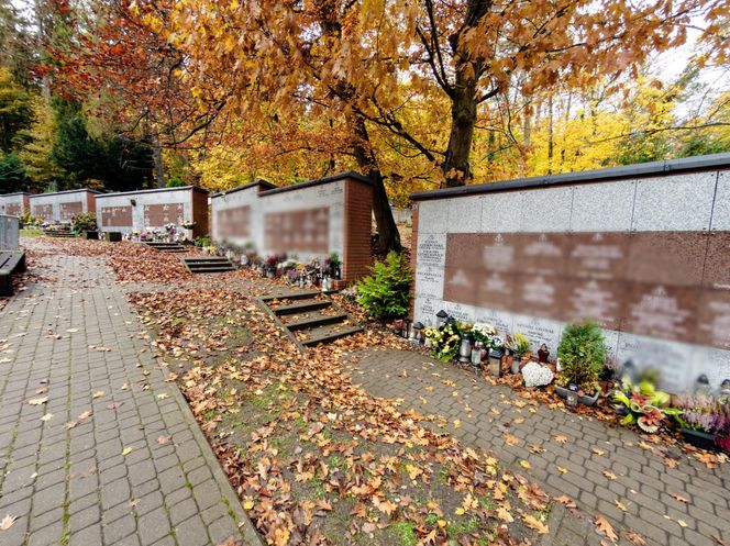 Grób synów Lecha Wałęsy, Przemysława i Sławomira