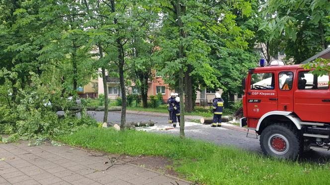 Burze z gradem w Podlaskiem. Powalone drzewo przygniotło samochód [ZDJĘCIA]