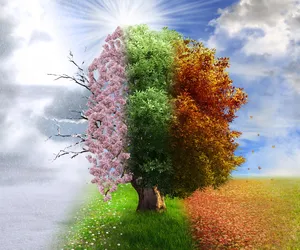 Quiz. Którą porą roku jesteś? Przekonaj się, czy bliższe jest Ci upalne lato, czy może kiedy na zewnątrz robi się lodowato