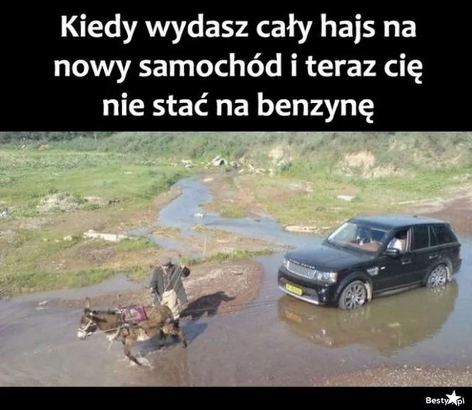 paliwa memy