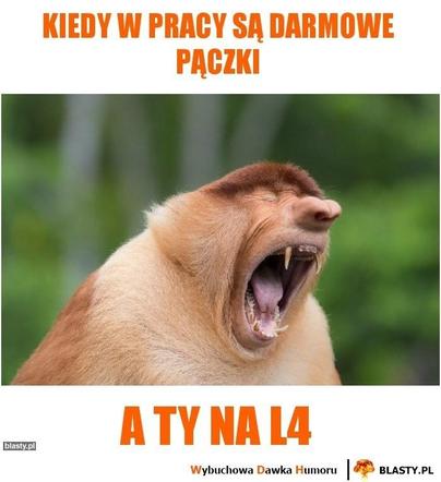 Memy na tłusty czwartek 2024