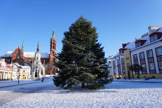 Choinka stanęła w centrum Białegostoku. 12-metrowa atrakcja gotowa na Boże Narodzenie