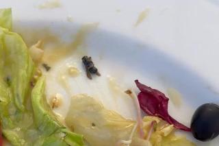 Sylwia Bomba ostro o restauracji w Iławie. W sałatce znalazła robaka. Personel miał zrzucić na nią winę [ZDJĘCIA]