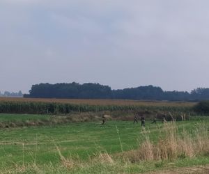 Dron w Cześnikach