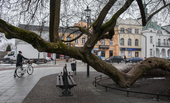 Polskie klony na europejskie salony