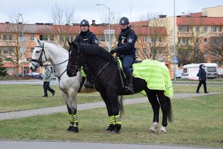 Patrole konne w Policach