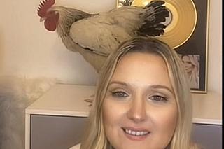 Gosia Andrzejewicz wystąpiła na kamerkach z żywym kogutem!